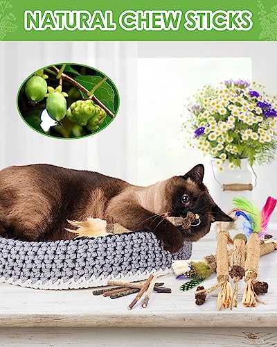 TINDTOP Silvervine Chew Sticks for Cats, 12 Pack Natural Catnip Chew Toys - color: 12 Pack