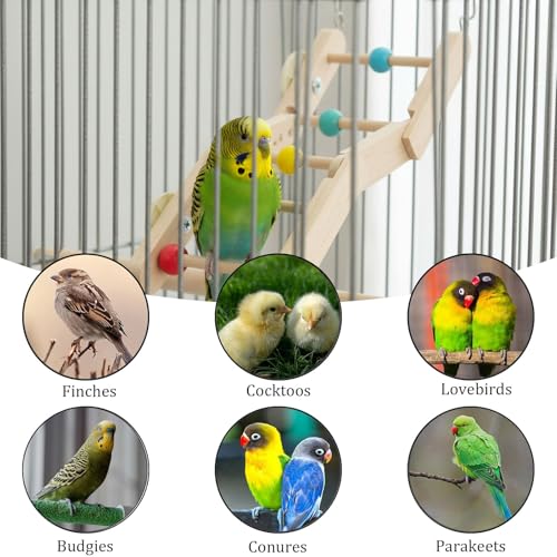 2 Pack Bird Ladder Toy, Natural Wood Parrot Climbing Bridge with Colorful Beads and Hanging Hooks, Bird Cage Accessories for Parakeets Budgies Cockatiels Lovebirds Small Parrots