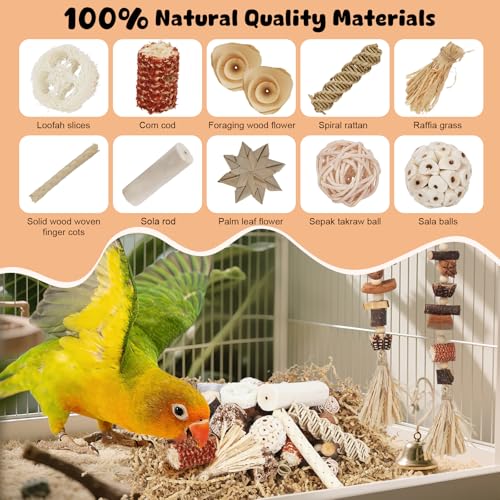 Bird Toys Natural Parrot Foraging Box with DIY Hanging String - size: Large