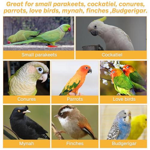 PINVNBY 2 Pack Parrot Toys Chewing Bird Toy Cuttlebone Beak Grinding Stone Cage Hanging Toys with Bell for African Greys Amazon Conure Eclectus Budgies Parakeet Cockatiel Hamster Chinchilla
