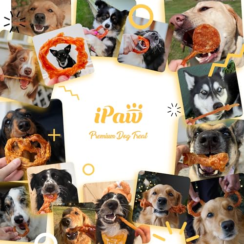 iPaw 10 Pcs Value Pack Turkey Tendons Ring for Dog, All Natural Human Grade - size: 1.27 Ounce (Pack of 5)