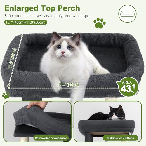 Small Cat Tree Tower for Indoor Cats, 40 in Medium Cat Bed Scratching Posts