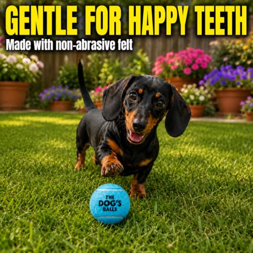 The Little Dog’s Balls Small Dog Tennis Balls 6-Pack Blue Floats in Water - color: Blue, size: 6 Small Tennis Balls