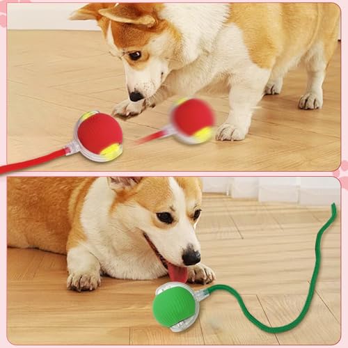 3pcs Smart Interactive Pet Toy Ball, Self Rolling Dog Ball Interactive Cat Toys, 360° Smart Automatic Rolling Ball Toy for Dogs Cats Indoor Outdoor Play (Red&Green&Grey) - color: Red+Green+Grey