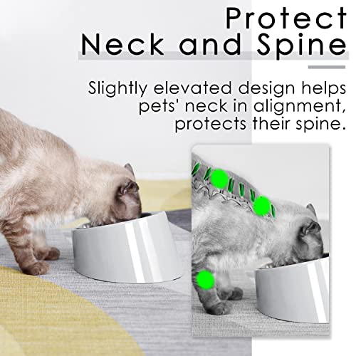 SUPERDESIGN Anti-Vomiting 15° Slanted Pet Bowl, S/0.5 Cup, Gray - color: Light Gray, size: S/0.5 Cup