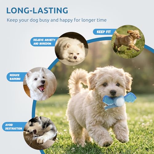 Interactive Dog Squeaky Toys, Indestructible Chew Toys Built-in Vanilla Ice Cream Flavored Ball, Puppy Plush Toys for Small Medium Chewers to Keep Them Busy - Blue Bat - color: Blue Bat