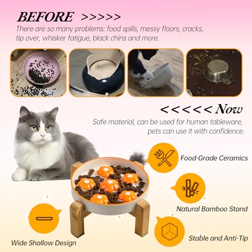 Elevated Ceramic Slow Feeder Cat Bowl with Anti-Slip Bamboo Stand - color: Orange + Stand
