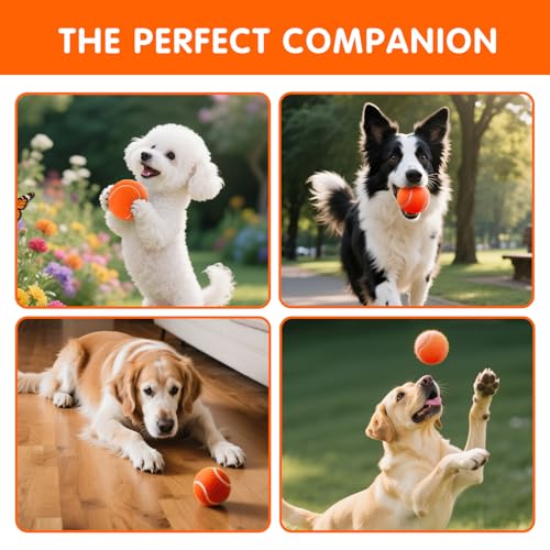 PHOEPET 6-Pack Tennis Balls for Beginner Training Practice- Bulk Dog Balls - color: Orange-6 Pack, size: Medium 2.5"- 6 Pack