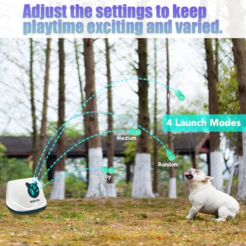 Automatic Dog Ball Launche with 9 Balls (2 inches) - color: WHITE