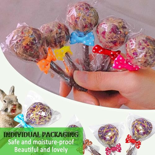 kathson 16PCS Rabbit Timothy Hay Treats Sticks,Interactive Bunny Lollipop Chew Sticks,Natural Guinea Pigs Chewing Treats Molar Teeth Toys for Small Animals,Chinchilla,Hamster,Gerbil - color: 16