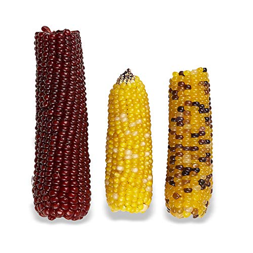 Vitakraft Mini Pops Treat for Small Animals - 100% Real Corn Cob - Supports Healthy Teeth - 6 oz (Pack of 2) - size: 6 Ounce (Pack of 2)