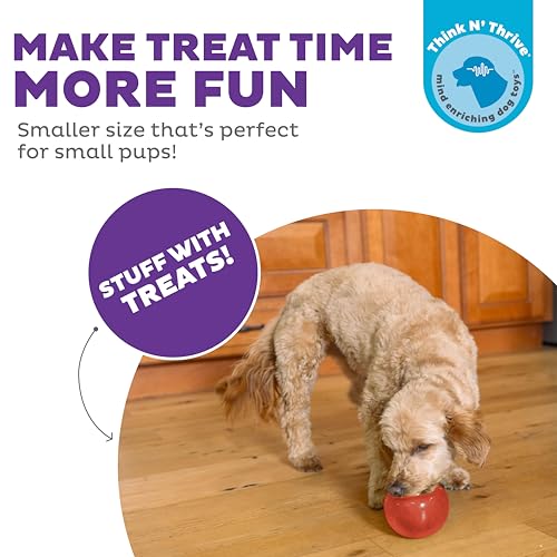 Outward Hound by Planet Dog Lil' Snoop Dog Toy – Treat‑Dispenser Puzzle Ball, Interactive Slow Feeder, Small to Medium Dogs, Bouncy & Mint-Infused, Red, 3.9" - color: Red Lil Snoop