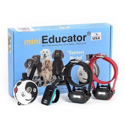 E-Collar Educator ZEN-302 Dog Training Collar with Remote, 2 Dogs - color: Zen, size: 2 Dog