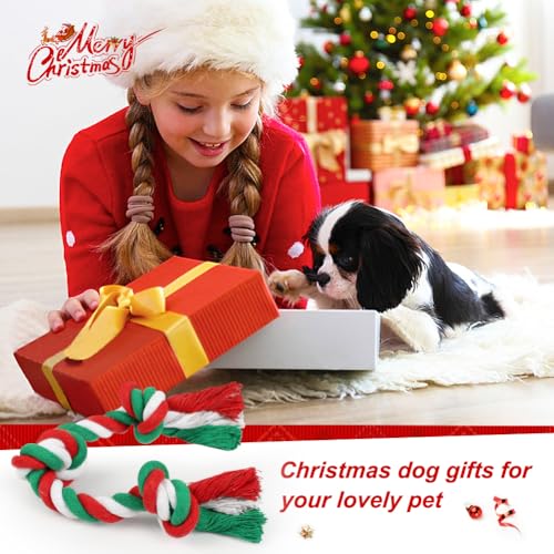 SZEE Dog Rope Toys 2 Pcs - Christmas - color: Christmas, size: Small