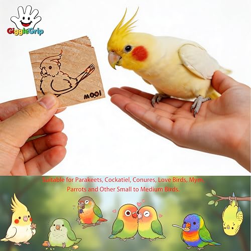 10 Pack Bird Chew Toys, 100% Natural Pine Wood Blocks for Parrot Chewing & Beak Trimming, Durable Bird Cage Accessories for Medium Small Birds, Conures, Cockatiels