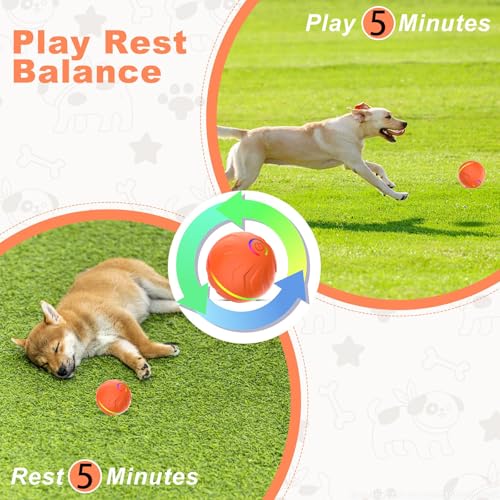 2026 T01 Interactive Dog Ball, Automatic Moving and Bouncing Dog Toy - color: Green