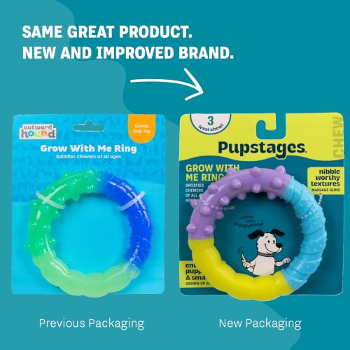 Grow-With-Me Ring Dental Dog Chew Toy, Bounces & Floats, 4.7" - color: Ring