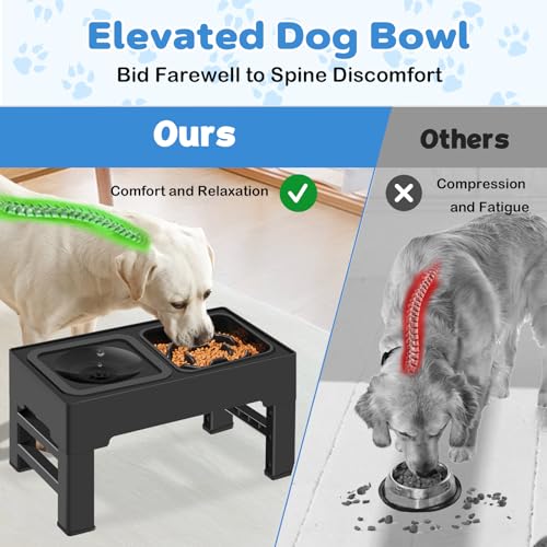 2-in-1 Elevated Dog Bowls, No Spill Water Bowl, Slow Feeder Food Bowl - size: Slow Feeder