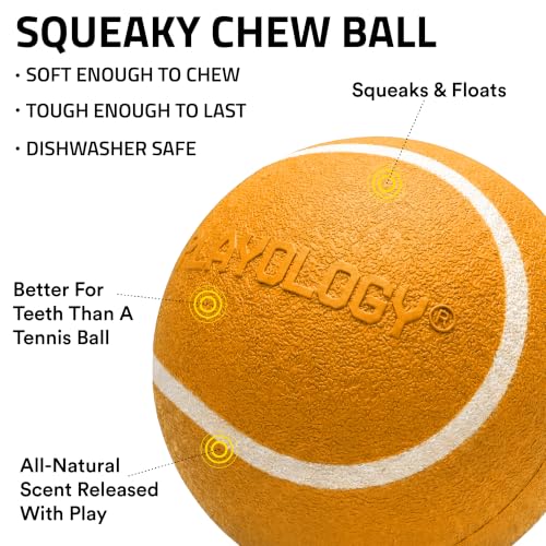 Playology Squeaky Chew Ball Dog Toy - Small, Pumpkin Spice Scent, 3-Pack - size: Small (VALUE 3-Pack), style: Pumpkin Spice