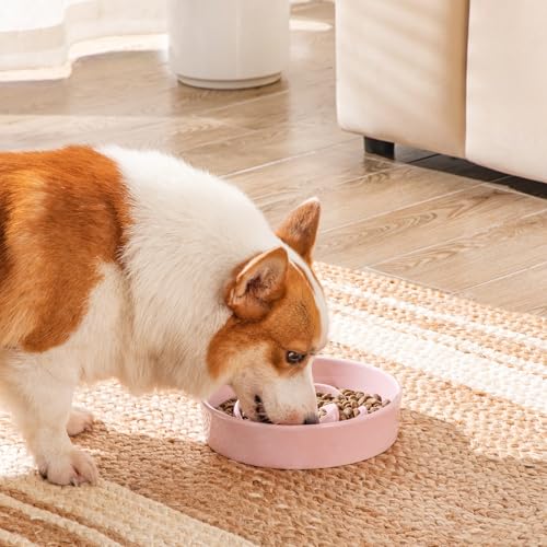 vancasso Ceramic Slow Feeder Dog Bowl, 1.5 Cup Puzzle Dish for Medium Breed - color: Pink, size: M - 1.5 Cups