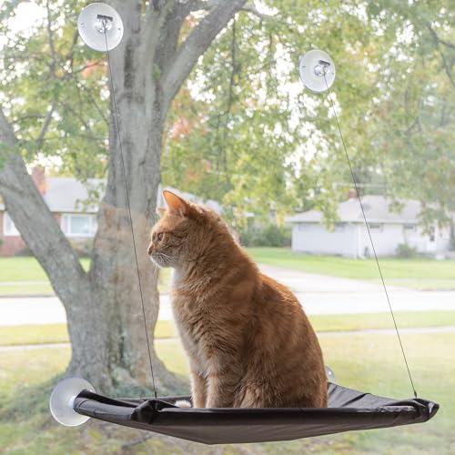 Cat Window Perch - Cat Window Hammock with Strong Suction Cups and Removable Machine Washable Oxford Cloth Cat Bed for Large Cats by PETMAKER (Black)