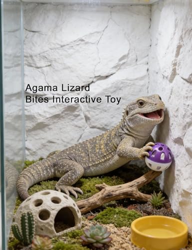 10-Pack Bearded Dragon Toys for Small Reptile Cage Enrichment