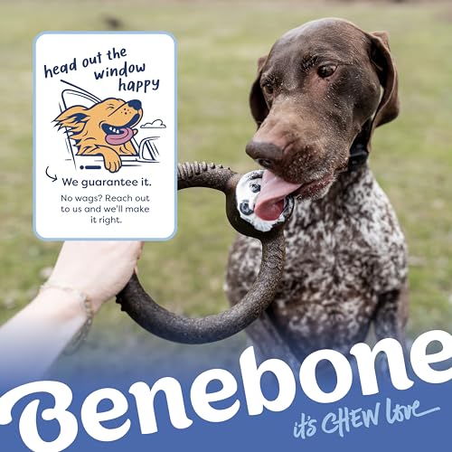 Benebone Blueberry Large 4-Pack Dog Toys, Under 90 lbs - size: Large, style: Limited Edition 4 Pack