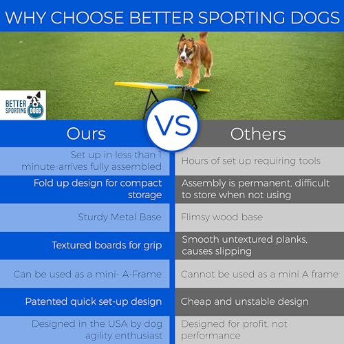 Better Sporting Dogs Practice See Saw Dog Agility Teeter