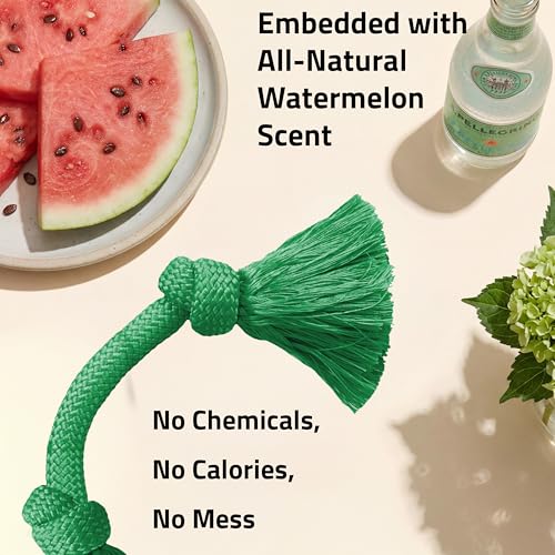 Playology Tug Rope Dog Toys for Medium Dogs - Medium, Watermelon Scent - size: Medium, style: Watermelon