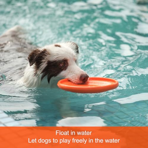 NAITELI Flyer-Soft Flying Disc Fetch Toy-for Medium/Large Dogs（Yellow,L） - color: Yellow, size: Large