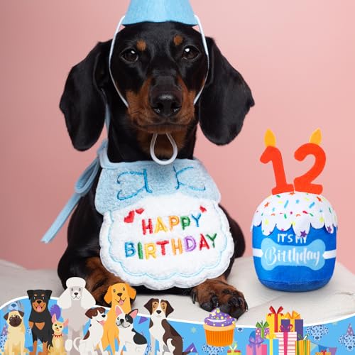 Dansydaisy Dog Birthday Cake Toy Squeaky Plush Gift,12th,Blue - color: Blue, style: 12th