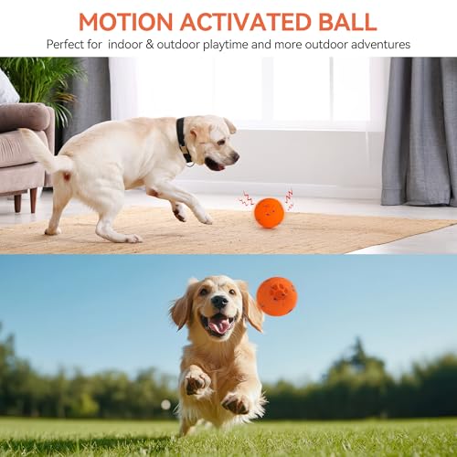 ALL FOR PAWS Interactive Dog Toy, Smart Moving Ball with 2 Play Modes, E-TPU Material, USB Rechargeable Motion-Activated Bouncing Ball for Medium Large Dogs, Automatic Rolling Keeps Dog Busy - color: Orange Ball