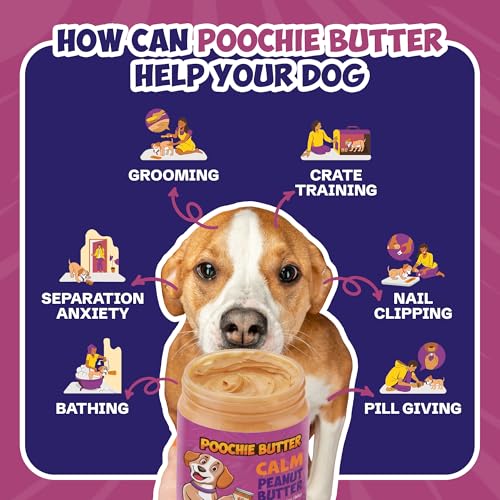 Poochie Butter Dilly's Calm Dog Treats | Chunky Dog Peanut Butter with Calm, Natural Dog Snack (12oz Jar) - size: 1 Fl Oz (Pack of 12)