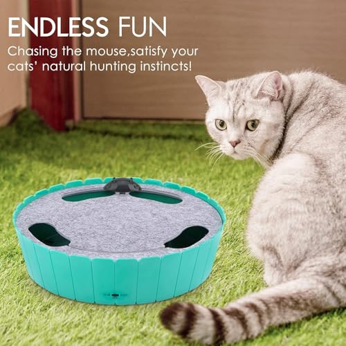 Pawaboo Interactive Cat Toy with Running Mouse, Automatic Track Kitten Toy - color: L-Lake Blue