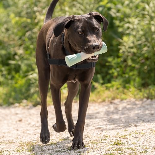 Chew King by Mammoth Dental Dog Toy Collection - Stick Clinically Proven to Remove Plaque