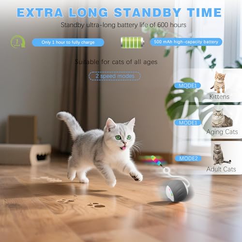 Upgraded 2.36 Inch Large Interactive Cat Toys Ball for Indoor Cats, Gray - color: Gray