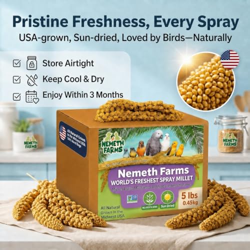 Nemeth Farms Spray Millet - Edible Tops Only, Non-GMO and Sun-Dried - 5 lbs for Parakeets, Conures and Cockatiels - size: 5 Pound (Pack of 1)