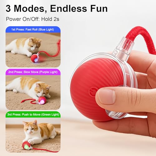 2-Pack Smart Interactive Automatic Electric Rolling Moving Rechargeable Motion Activated Self Play Stimulation Chase Teaser Ball Toy with Rope for Indoor Bored Adult Cat and Dog, Red+Red - color: Red+Red