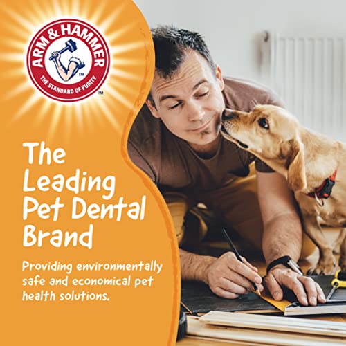 Arm & Hammer Chew Tools Compressed Wood Wrench Dog Chew Toy, 8 in - color: Wrench, size: 8 Inch