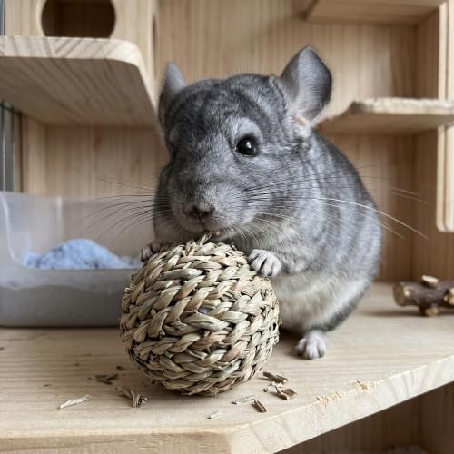 Natural Woven Grass Balls Small Pet Chew Toys, Handmade Wooden Bird Parrot Hamster Rabbit Foraging Balls, Safe Shred Toys for Parakeet Cockatiel Guinea Pig Chinchilla, Regular Water Grass Ball - style: Contemporary