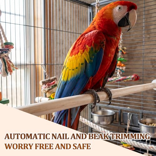 Sintuff Bird Perches Natural Wood Double Slots, 30 Inches, 8 Pcs - size: 30 Inches