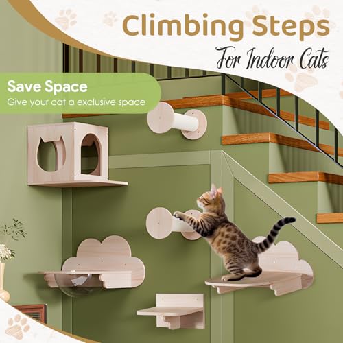 Cat Wall Furniture Set, Cats Wall Shelves Cat Wall Climber