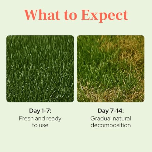 DoggieLawn Guinea Pig Pee Pads, Fresh Grass Mat, Hamster Small Pet Bed 24x9 - size: 24X9 inch