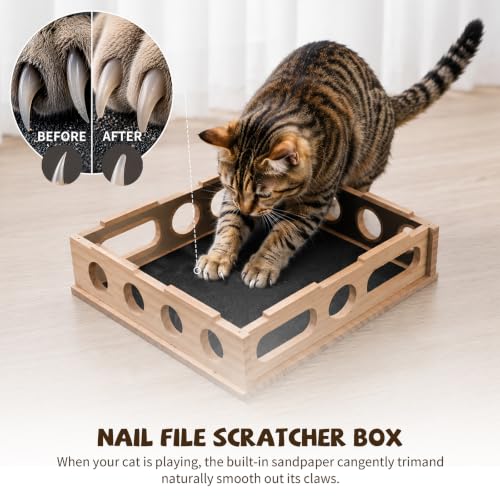 Cat Nail File Enrichment Box Scratch Puzzle Toy with Slot Lock Screws