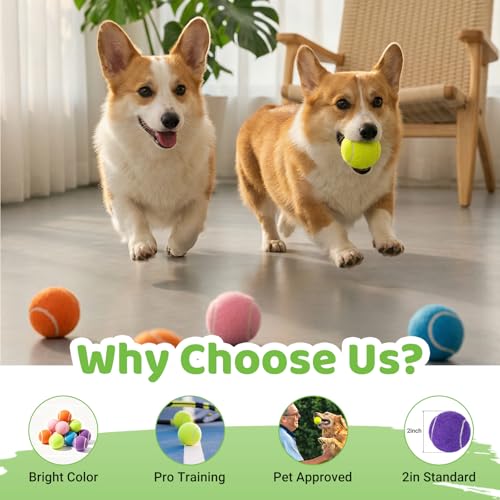 ZIYIZE Mini Tennis Balls, 20 Pack 2 inch Dog Tennis Balls, Easy Catching Pet Playing Ball for 2 inch Dog Ball Launcher Colour - color: 20PCS Mix