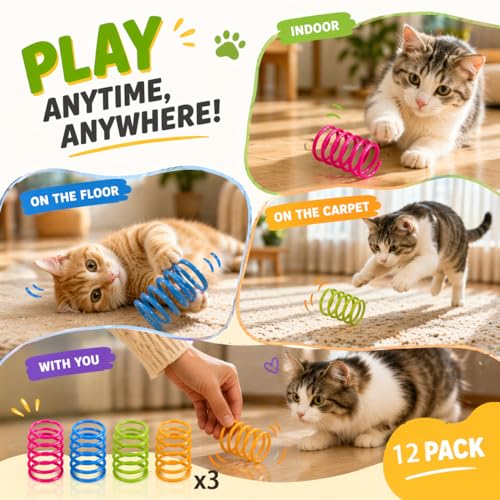 12Pcs Cat Spring Toy Set, Interactive Spiral Pet Play Accessories Pack, for Indoor Outdoor Activity Entertainment Use - color: 3Red,3Blue,3Green,3Yellow, size: 12P