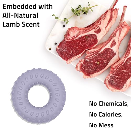 Playology Dual Layer Ring Dog Toy for Aggressive Chewers, Lamb Scent - size: Small, style: Lamb