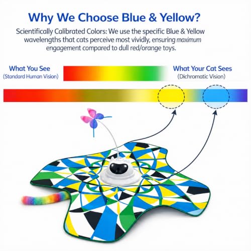 Interactive Cat Toy for Indoor Cats, 3-in-1 Automatic Tunnel Kitten Toy - color: Blue