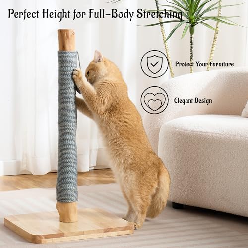 29" Tall Solid Wood Cat Scratching Post for Indoor Cats, Extra Stable Heavy Base, Natural Sisal Scratcher with Hanging Ball, Furniture Protector for Kittens & Adult Cats, Grey - color: Grey