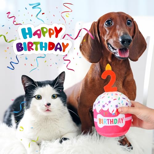 Dansydaisy Dog Birthday Cake Toy Squeaky Plush Gift,2nd,Pink - color: Pink, style: 2nd
